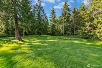 Verdant wooded areas beyond