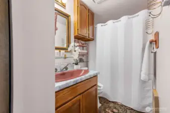 Ensuite primary bathroom.