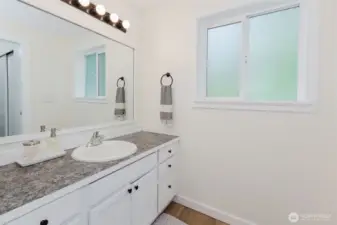 Primary bathroom updated finishes.