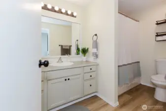 Guest bath with modern vanity and fixtures.