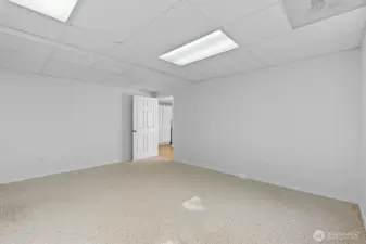 Downstairs bedroom