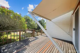 Looking from the back deck toward the rear yard and fruit trees.