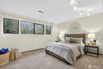 Lower Level Guest Bedroom