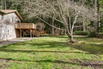 Plenty of room to play.