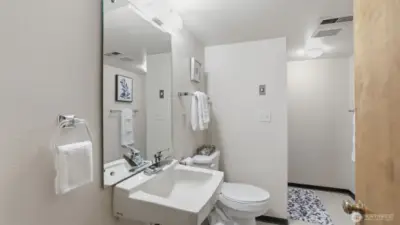 Lower level 3/4 bath.