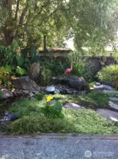 Ooh La La. Proud Garden Alum of the Rainier Beach Garden Stroll. Come see & enjoy.