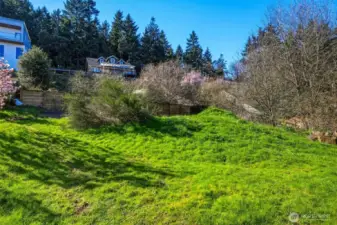 Close-up of land parcel with clear development potential