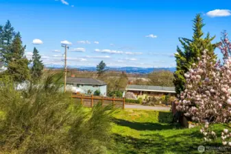 Perspective view from lot looking toward nearby residential streets