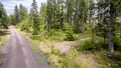 Quiet driveway tucked away in the trees