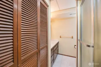 Lower level bathroom