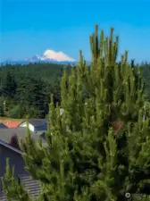 Mt. Baker Views