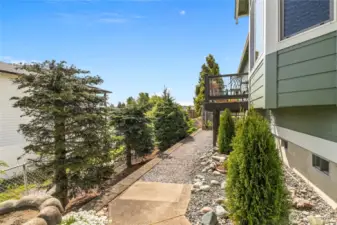 Back yard
