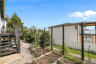 Back yard