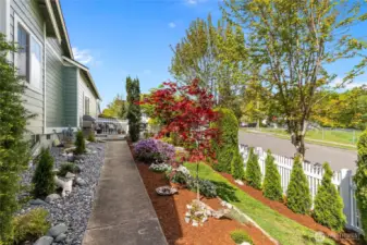 Side yard