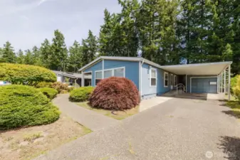 Welcome Home! Beautiful, mature landscaping already there for you!