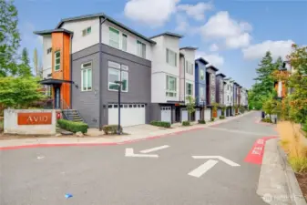 Welcome To Bellevue's Avid Townhouses.