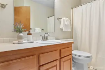 Hallway/guest full bathroom.