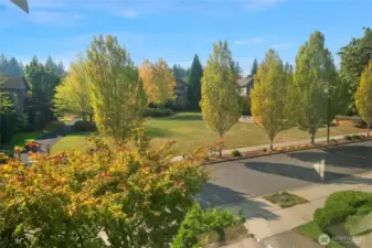 Nearby community park.