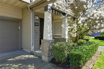 Beautiful blooming Star Magnolia (Magnolia stellata) at the front door entrance.