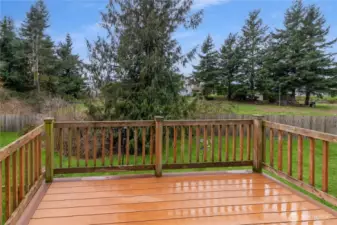Elevated deck w/ views of the spacious yard & surrounding greenery.