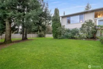 Side yard space bordered by mature trees & fencing.
