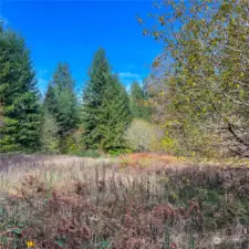 Lower level of property down gravel road and super close to river.