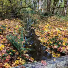 Pretty Creek on property separate from River.