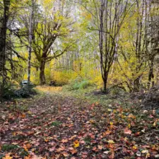 Privately maintained road with gravel under leaves.