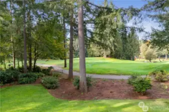 Course & cart path from your yard