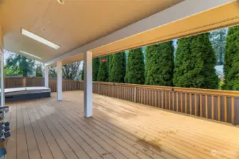 Skylights in your covered back porch