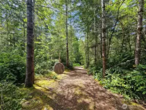 trail to fun outbuilding