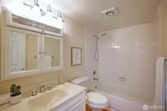 Main Full Bathroom