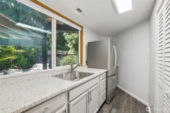2nd Kitchen area in Basement with Sink and Fridge
