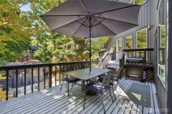 Large Deck