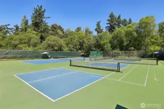 Tennis Courts at "The Cove"