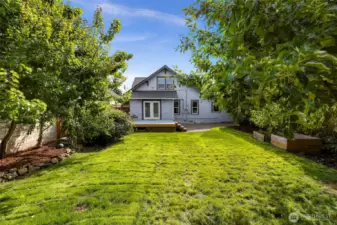 Large and private backyard with mature fruit trees