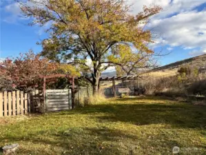 Beautiful shrub-steppe landscaping with irrigation from separate well