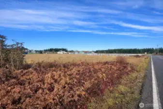 View from Hannus Rd on the SE corner