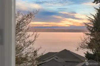 View out the primary bedroom window