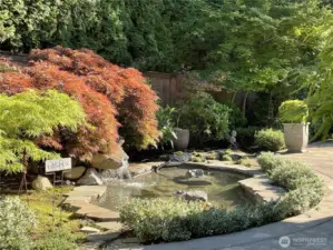 Summer view of back yard pond.  There is control  in house that turns the pond on and off.  Water just circulates.