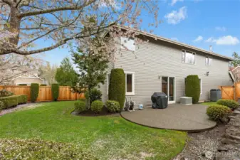 Fenced back yard and patio. Landscaped yard has built-in sprinkler system.