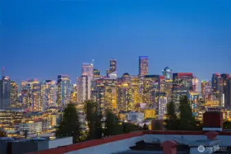 Stunning Lake, mountain, and city views from expansive rooftop deck!