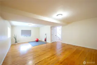 Lower Level Bonus Room