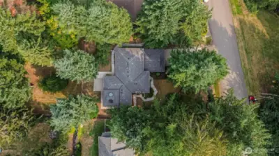 Aerial view of this home.
