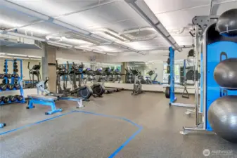 Residents of the building enjoy a large gym on the third floor of the building.
