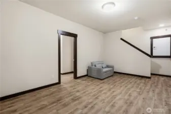 Basement/Bonus Room