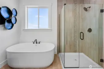 Staged photos are of model home