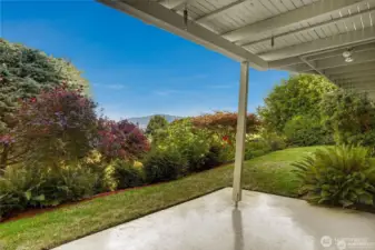 Covered patio overlooks the backyard and view.