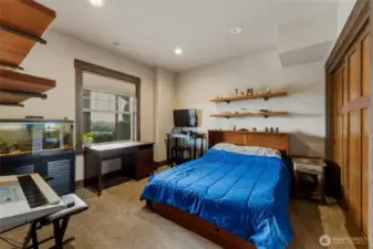 Lower level bedroom