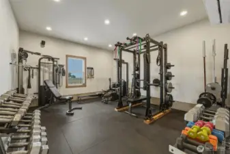 Work-out gym in garage